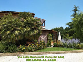 B&B Timeout Polverigi